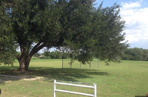 Tips Park - Three Rivers