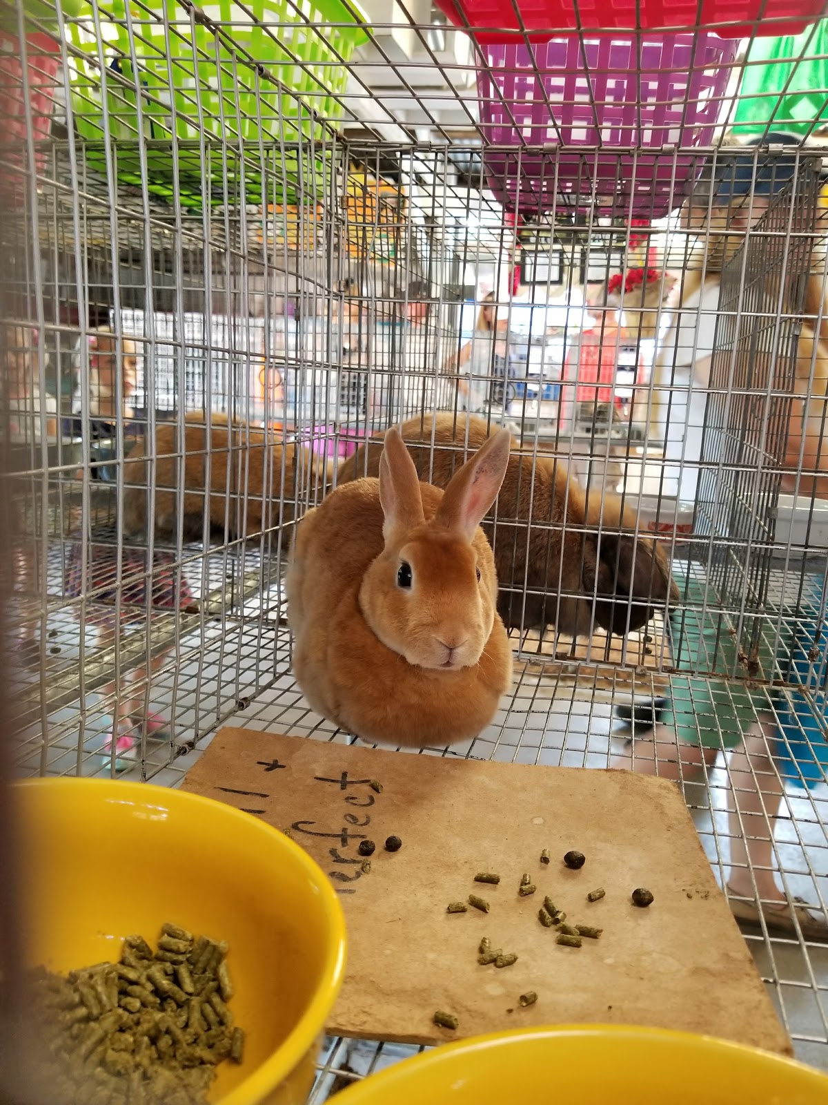 Northwestern Michigan Fair Assoc Campground