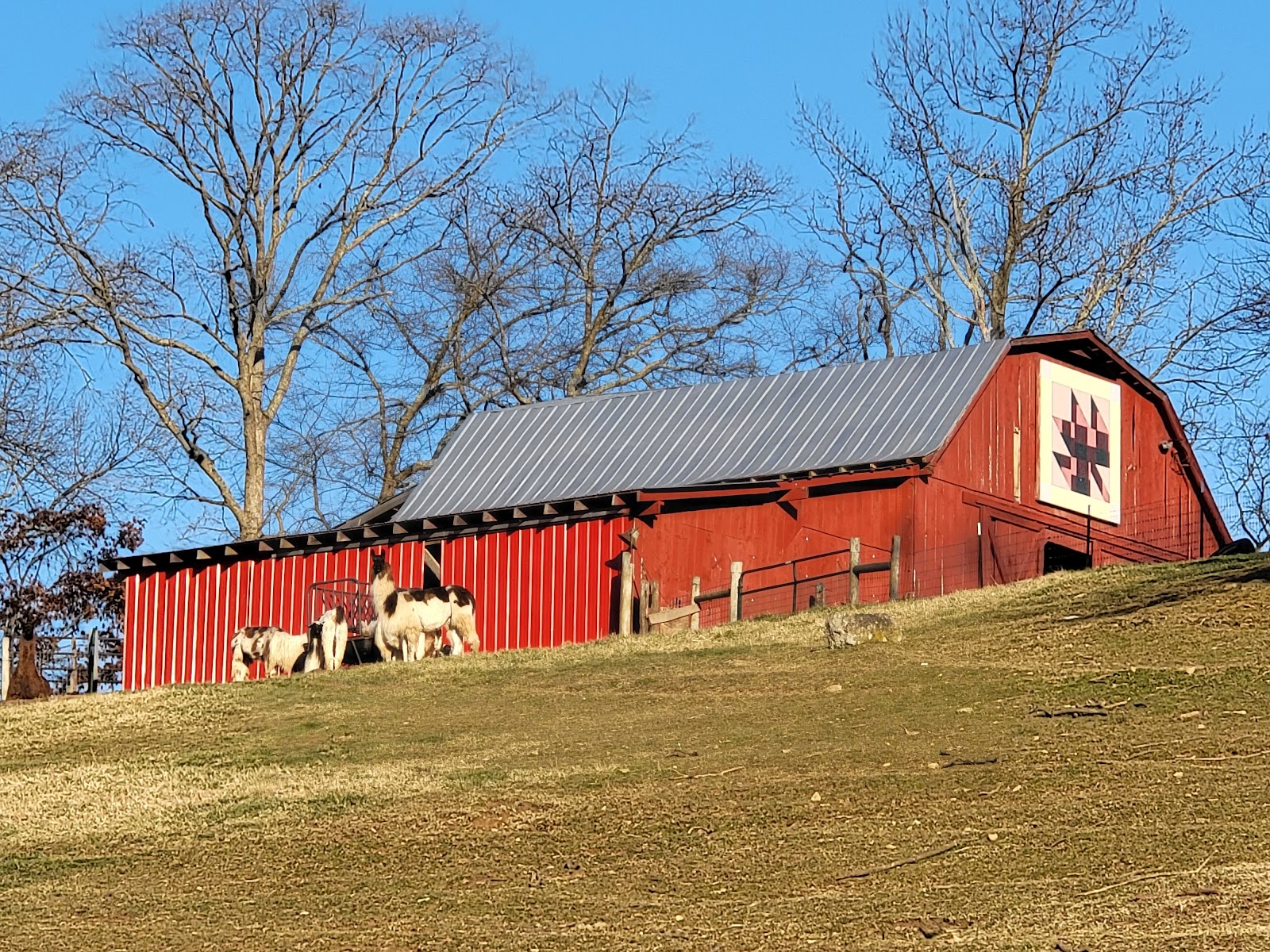 Lazy Llama Campground
