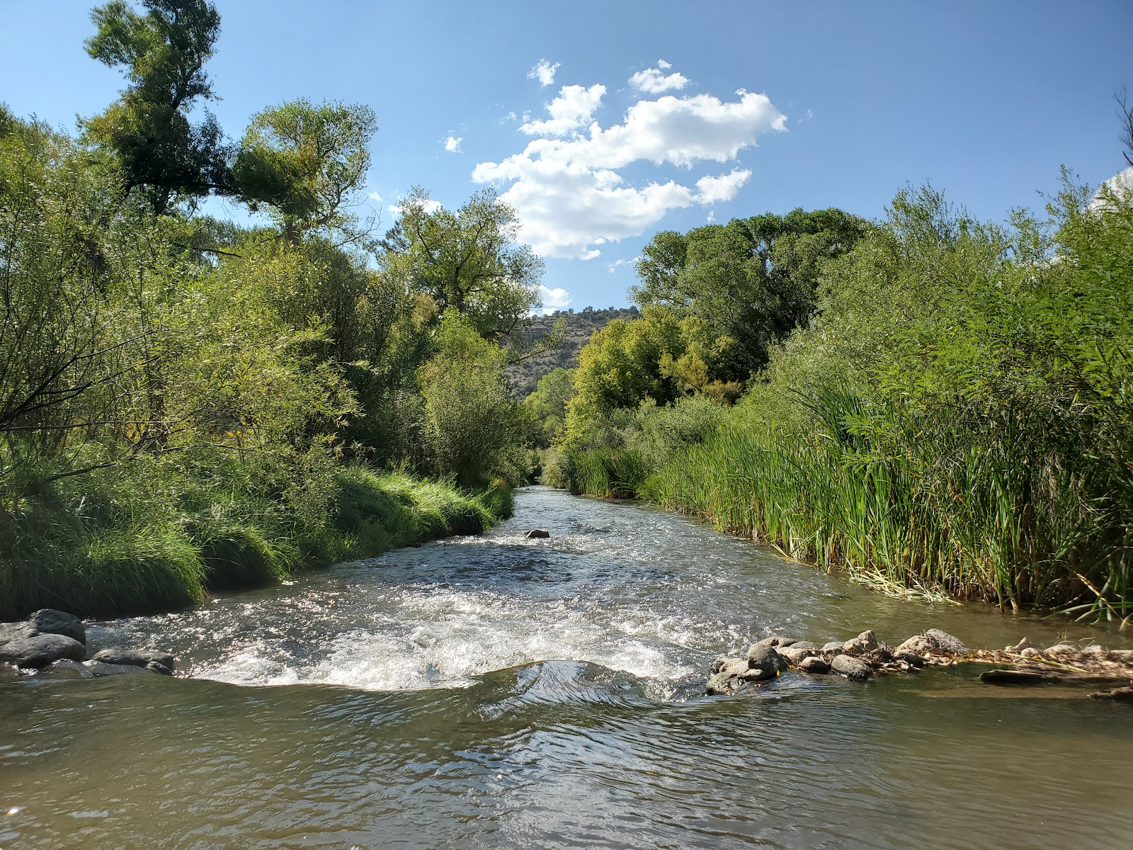Grapevine Campground