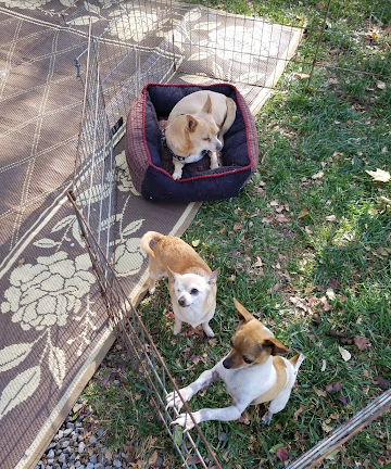 Mountain Gate RV Park