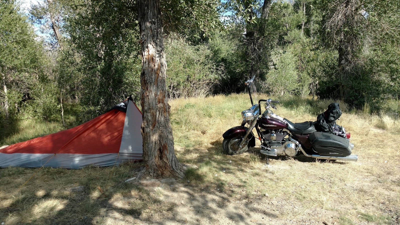 Tailrace Camp Area