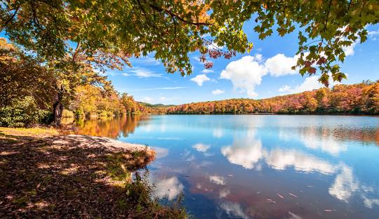 Julian Price Park Campground