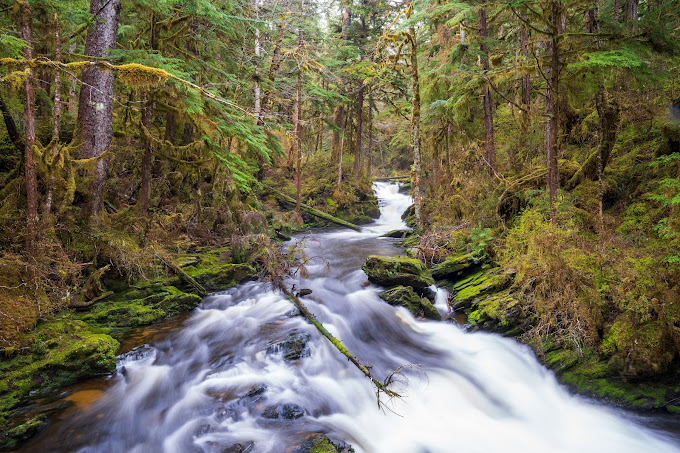 Settlers Cove State Recreation Site