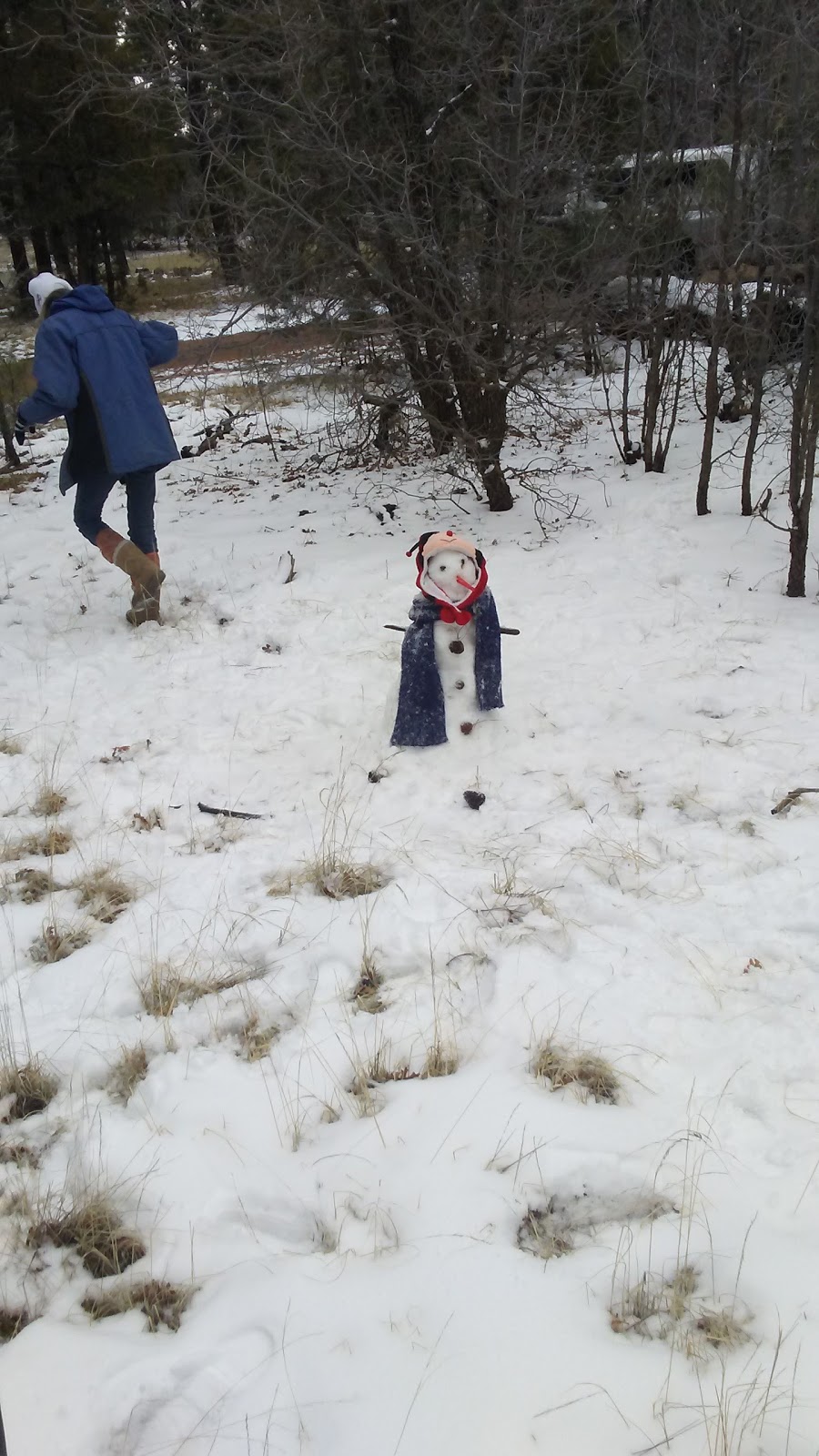 Brown Creek Campground