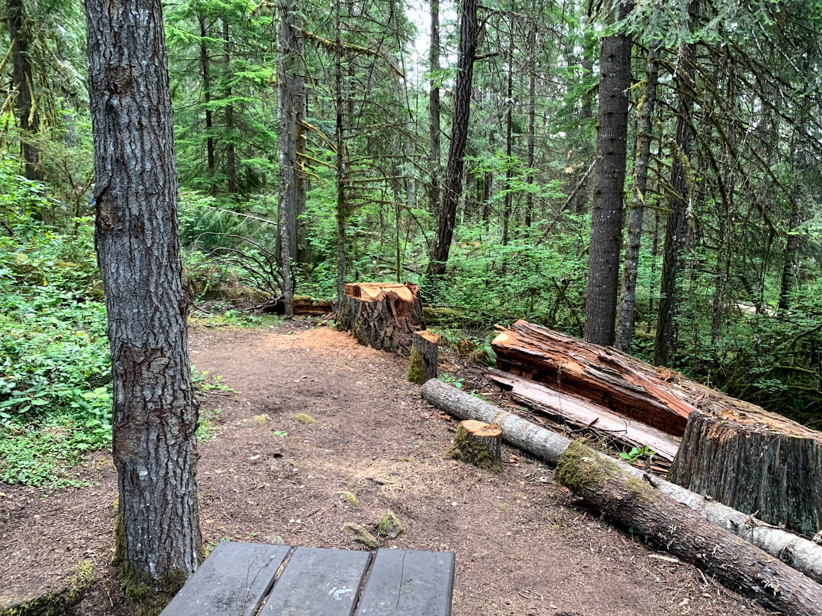 Packard Creek Campground