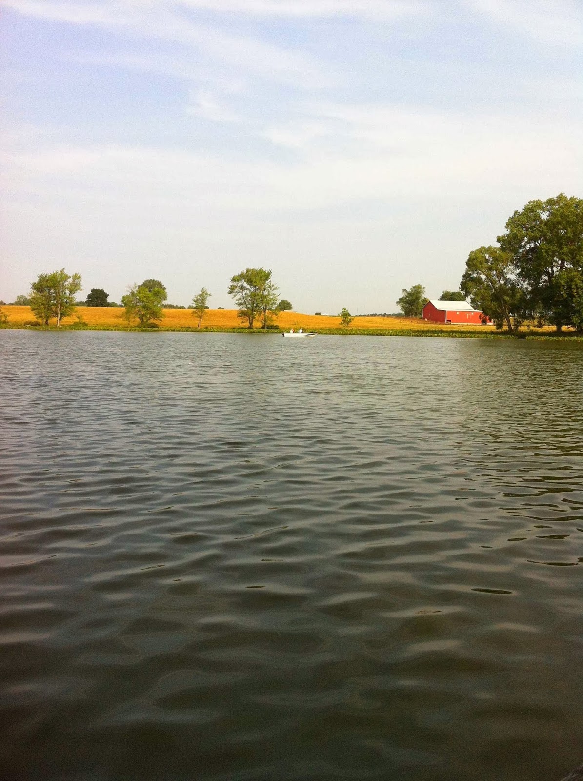 Lakeview Campgrounds