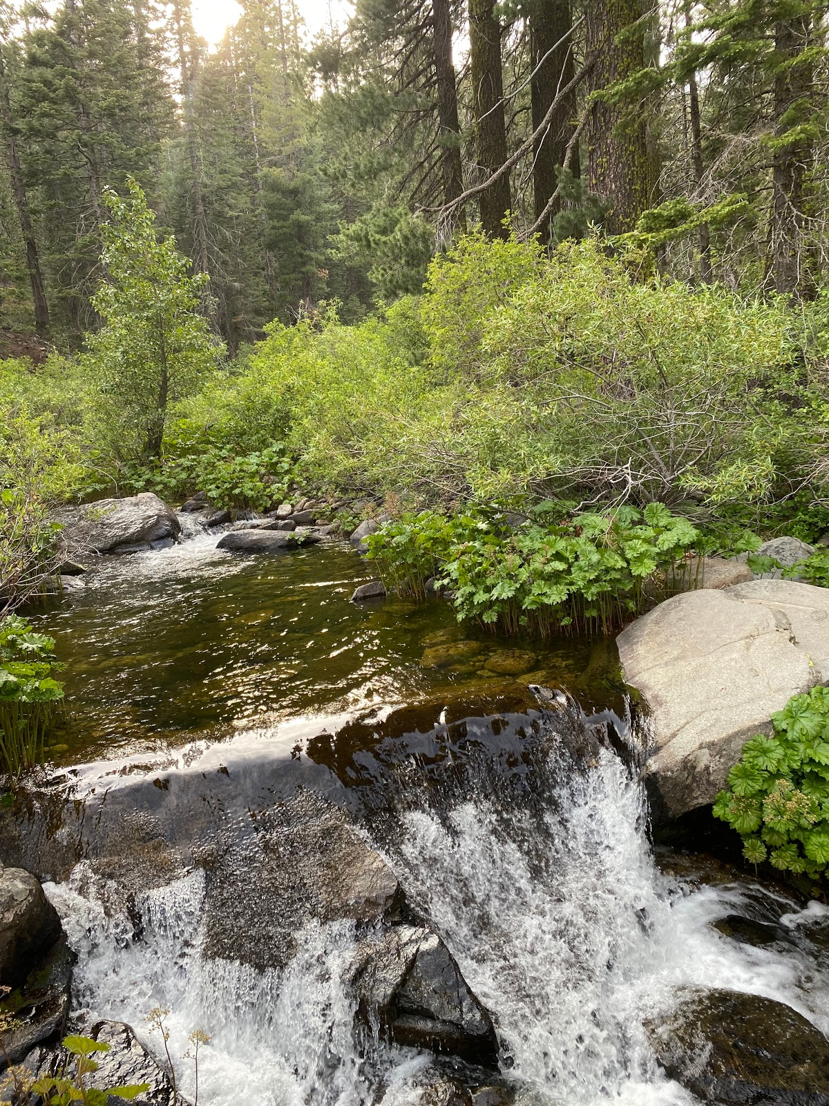 Mill Creek Campground