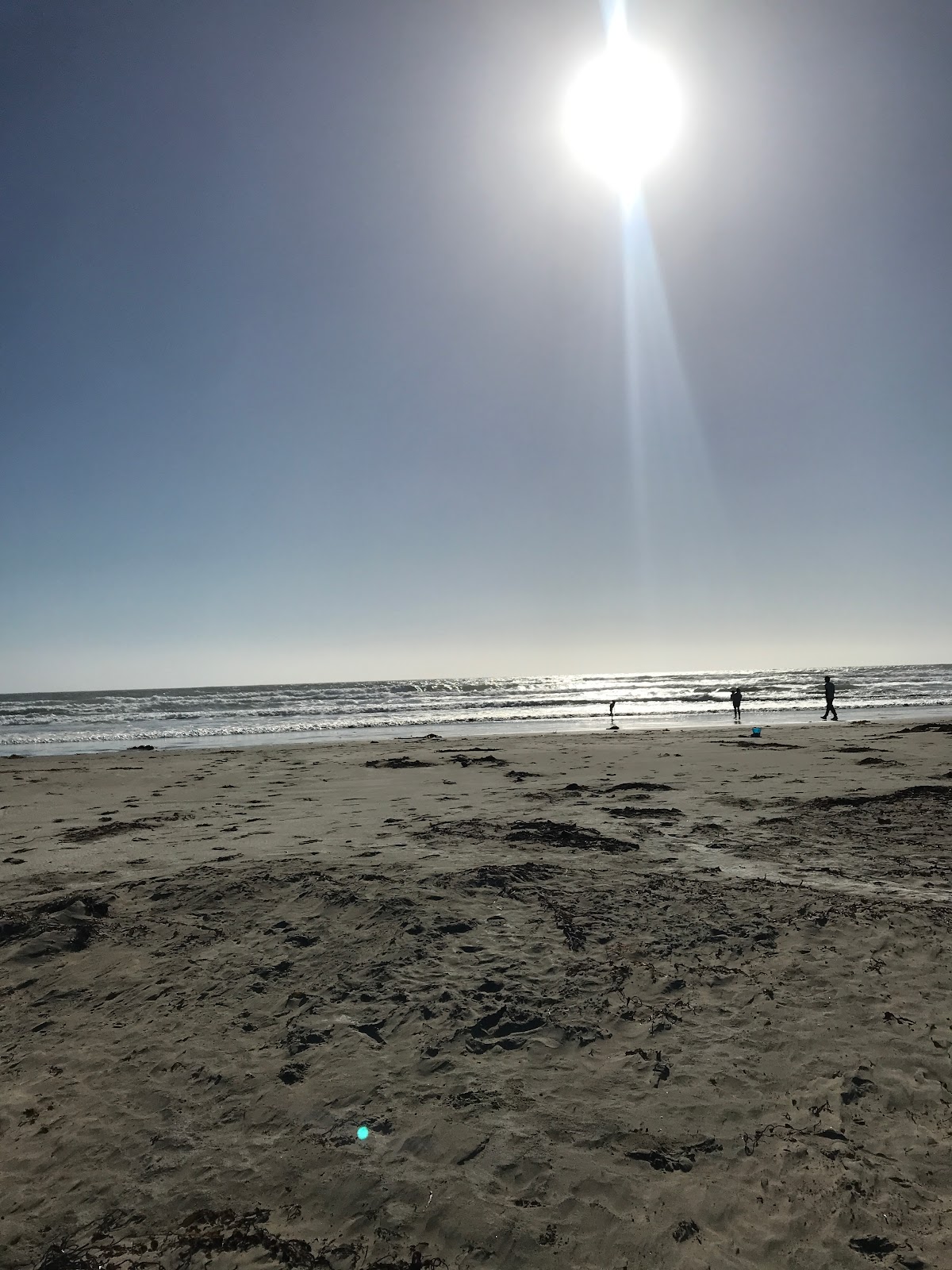 Morro Strand State Beach
