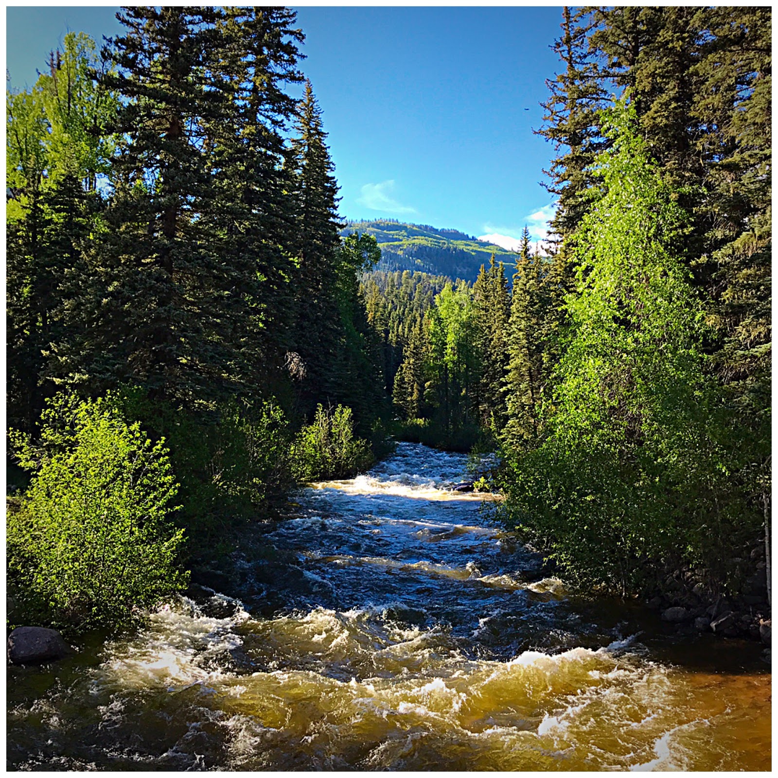 Transfer Park Campground
