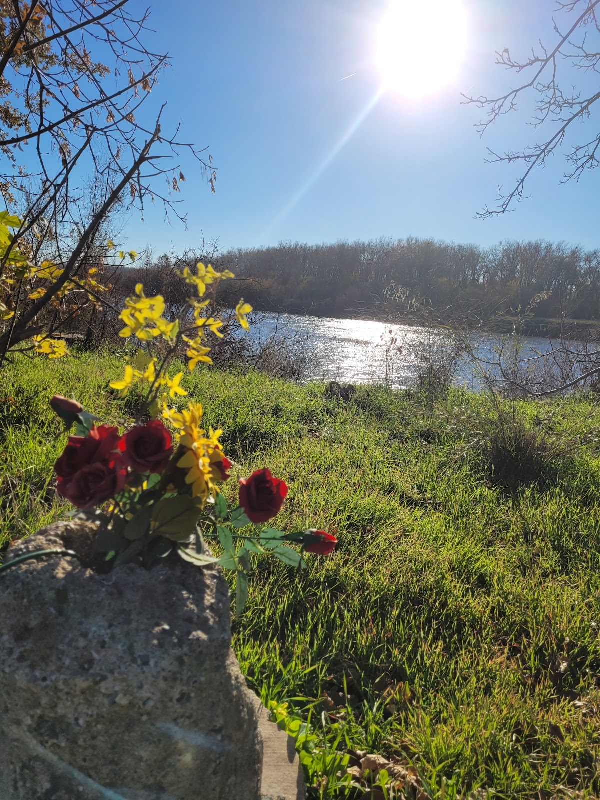Bidwell-Sacramento River SP