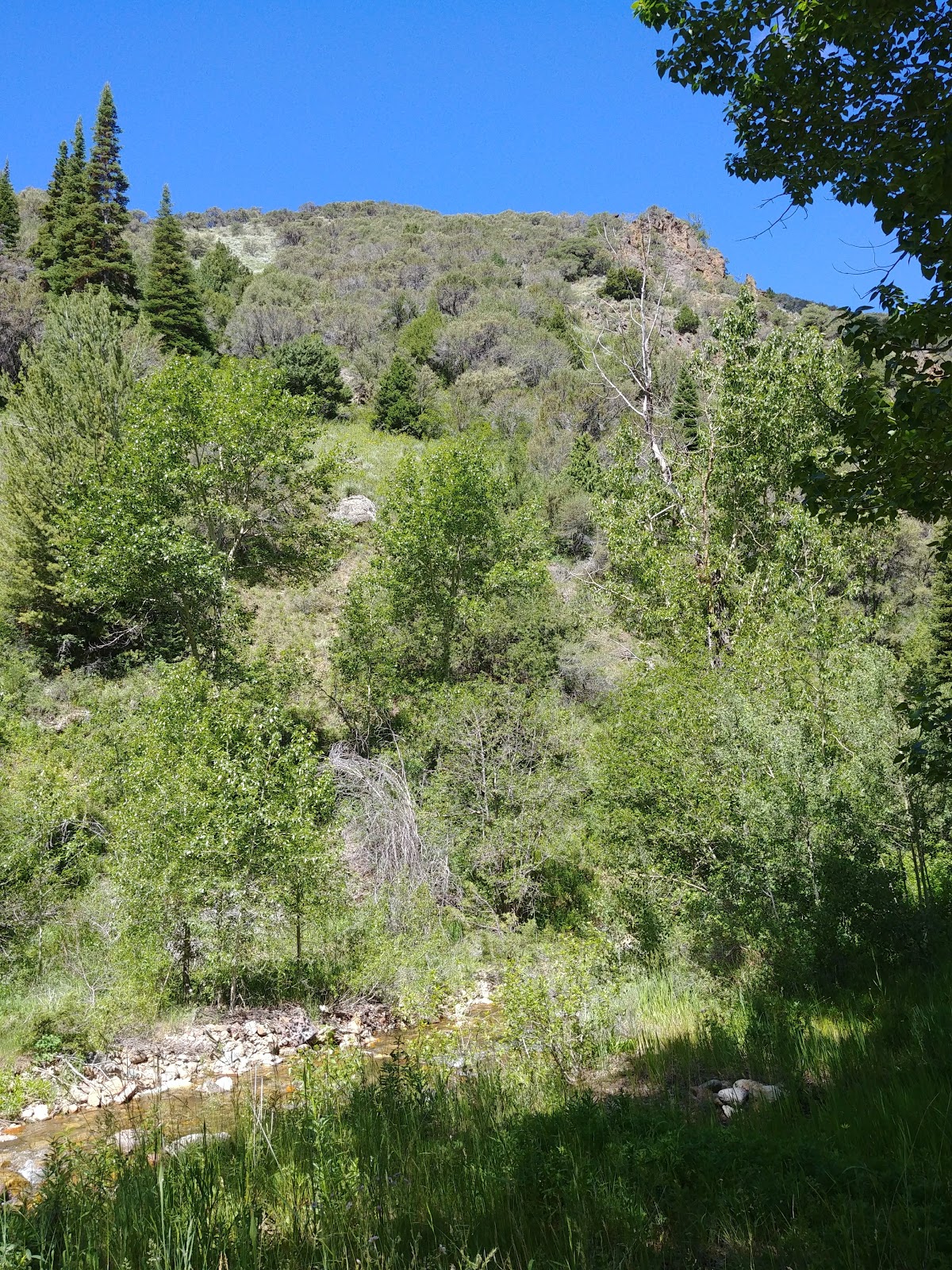 Pine Creek Campground