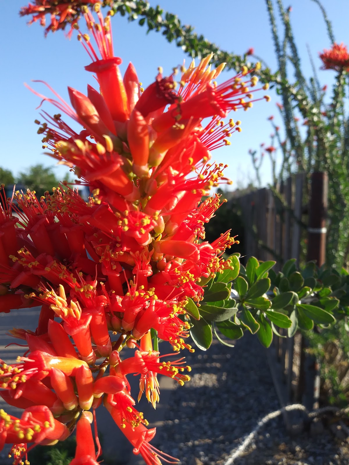 Alamogordo Roadrunner Campground