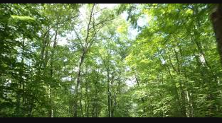 Silvermine Horse Camp