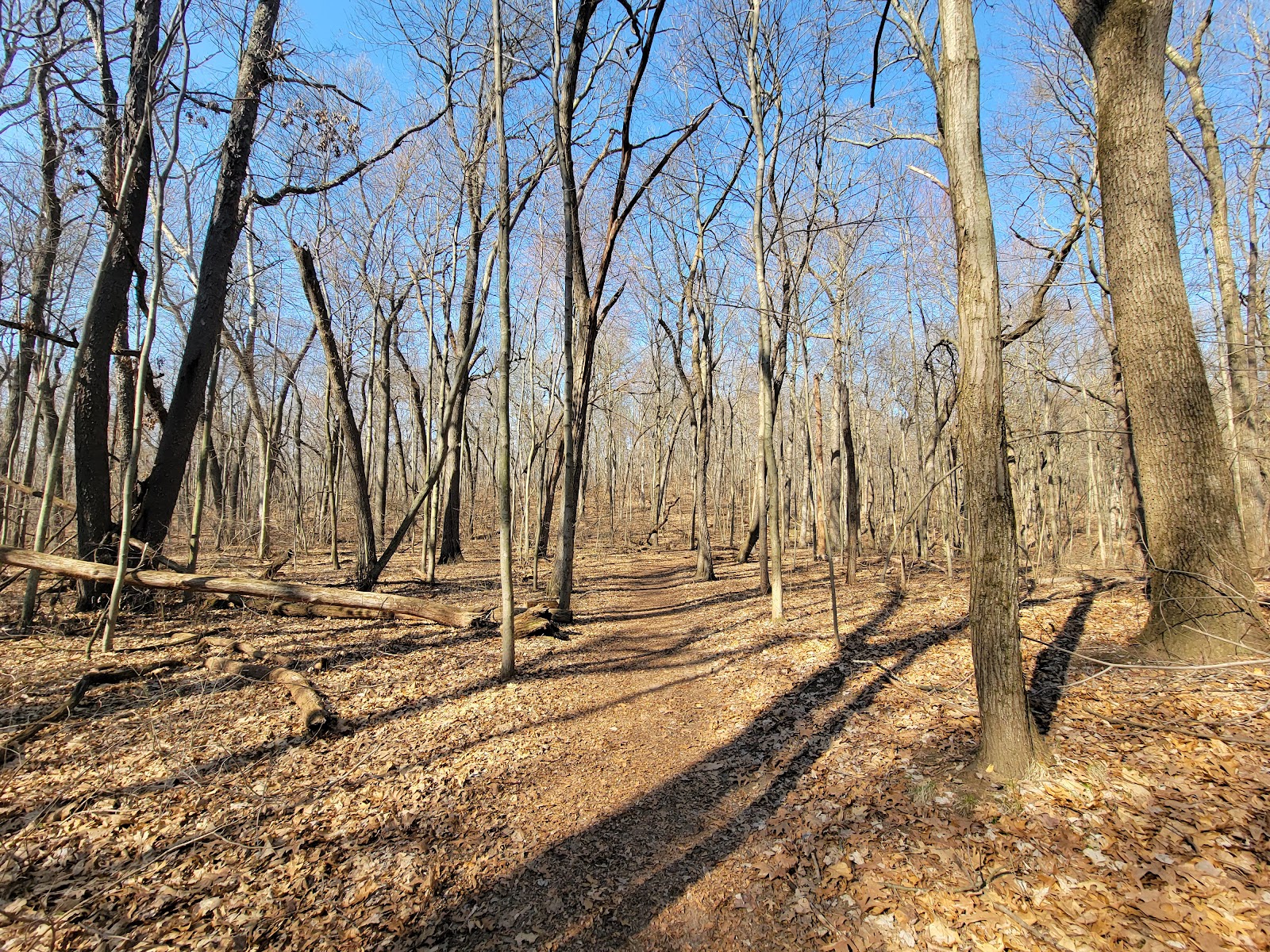 Brighton Recreation Area