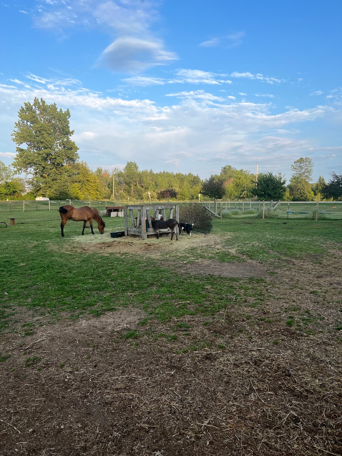 Timber Trail Campgrounds