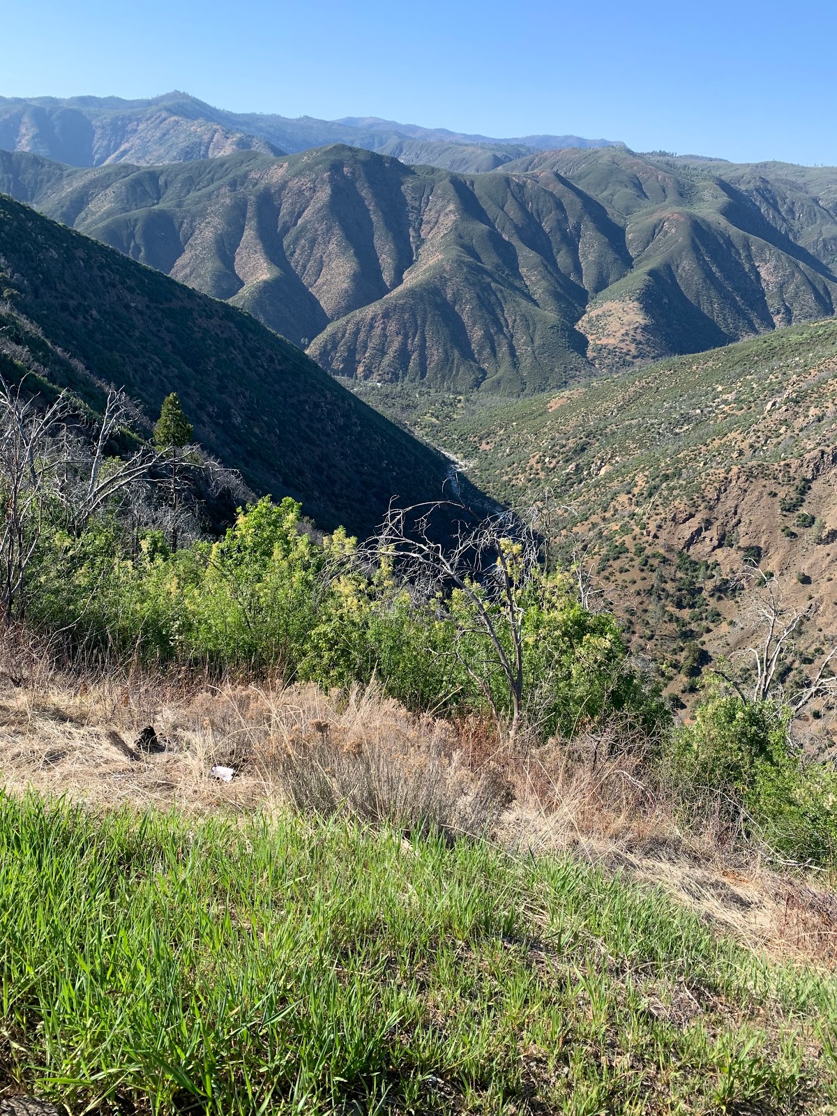 South Fork Campground