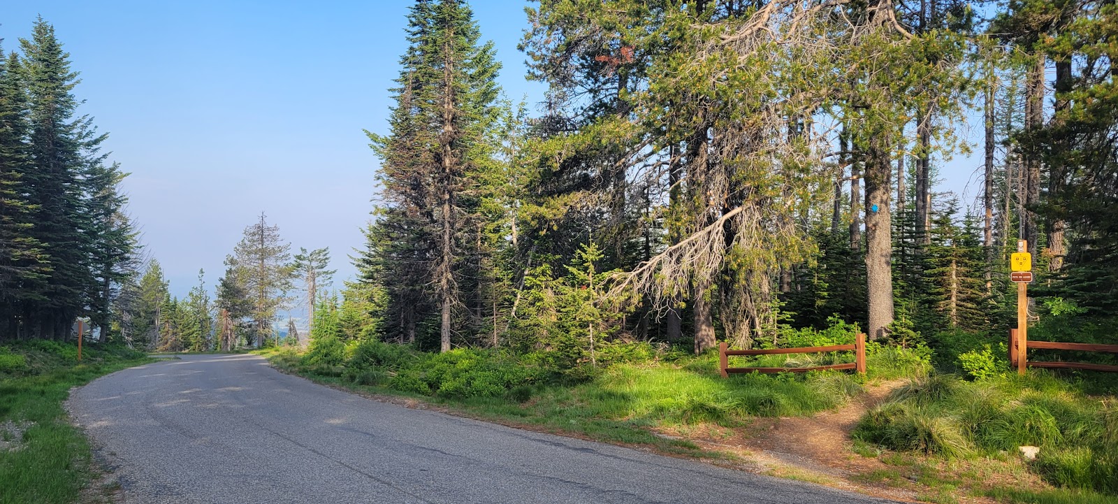 Bald Knob - Mount Spokane State Park