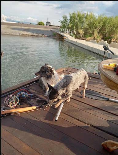 Burley Snake River RV Park