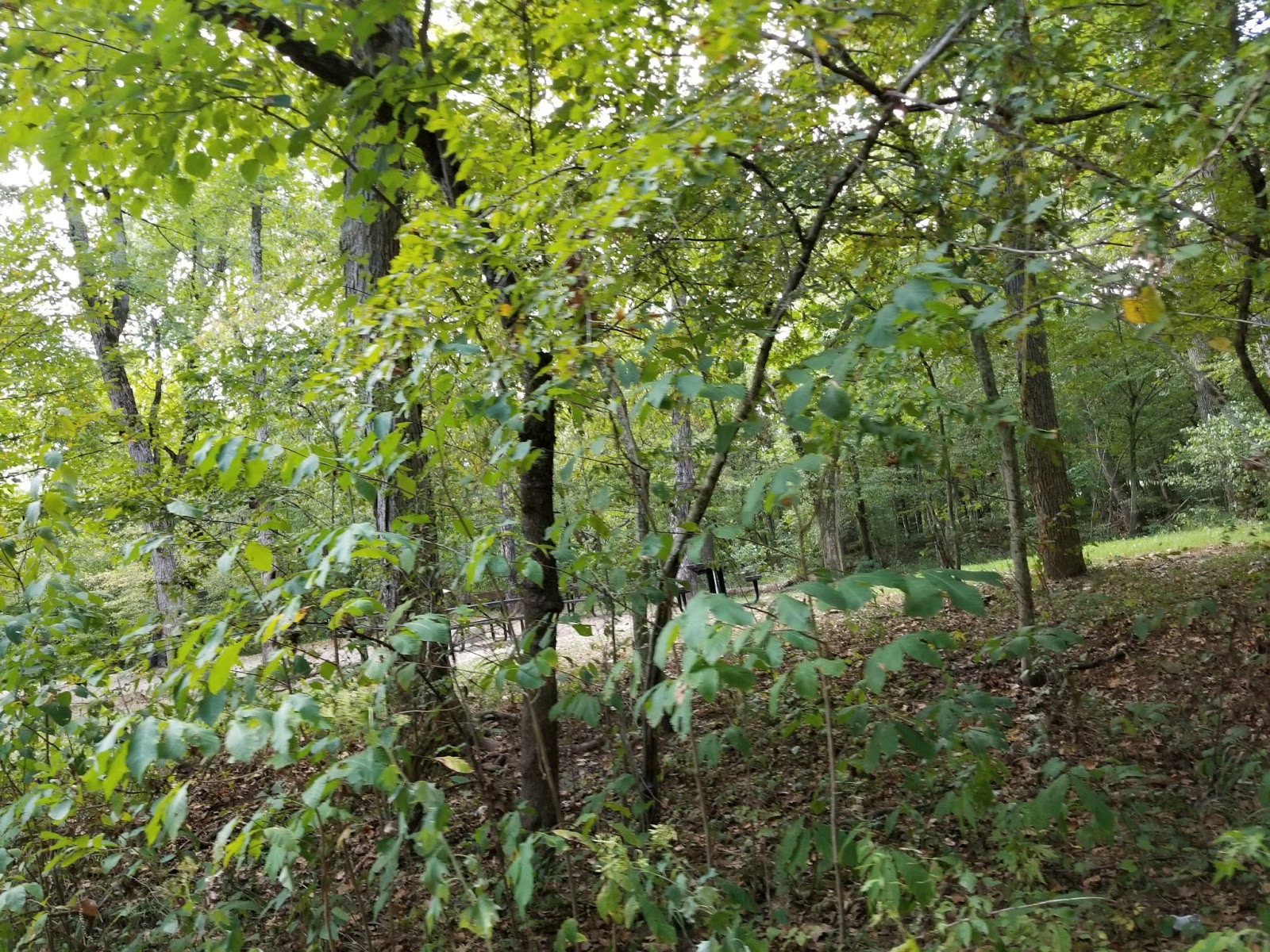 Red Bluff Campground