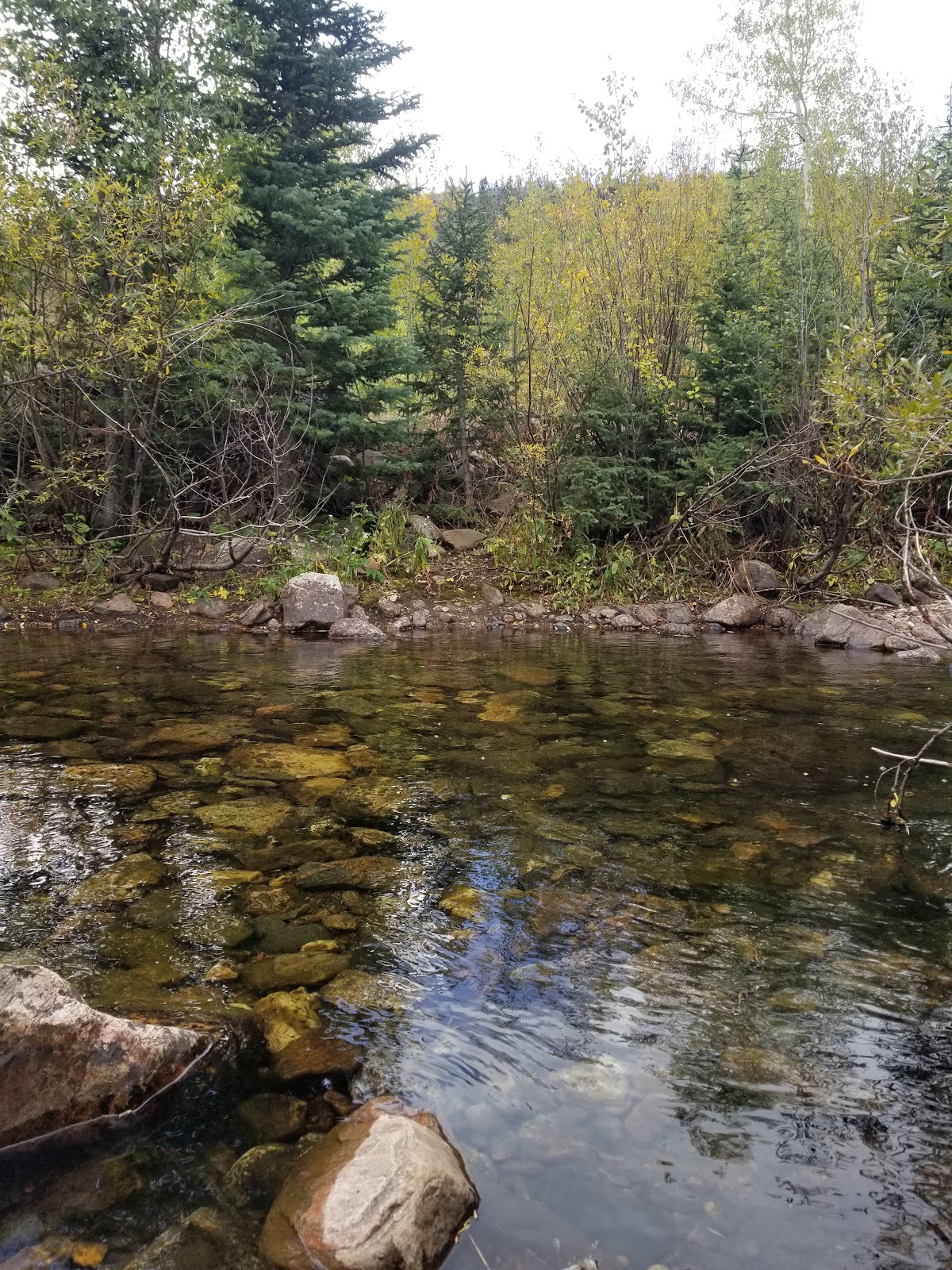 Pine Libby Creek Rec Area