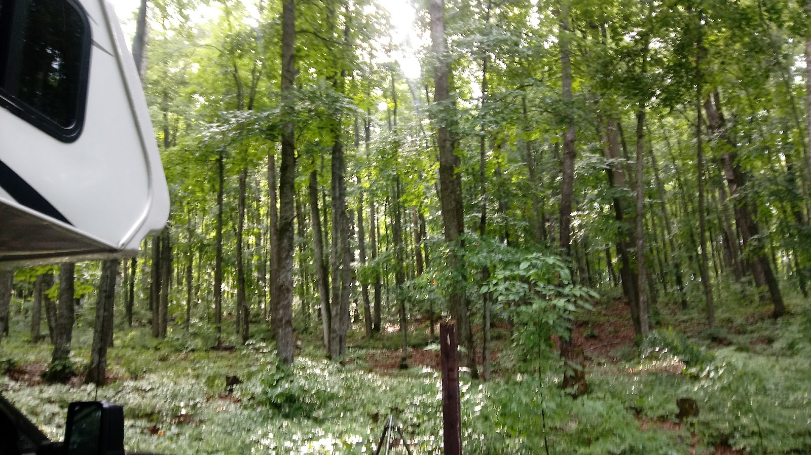 Stevens Lake Campground