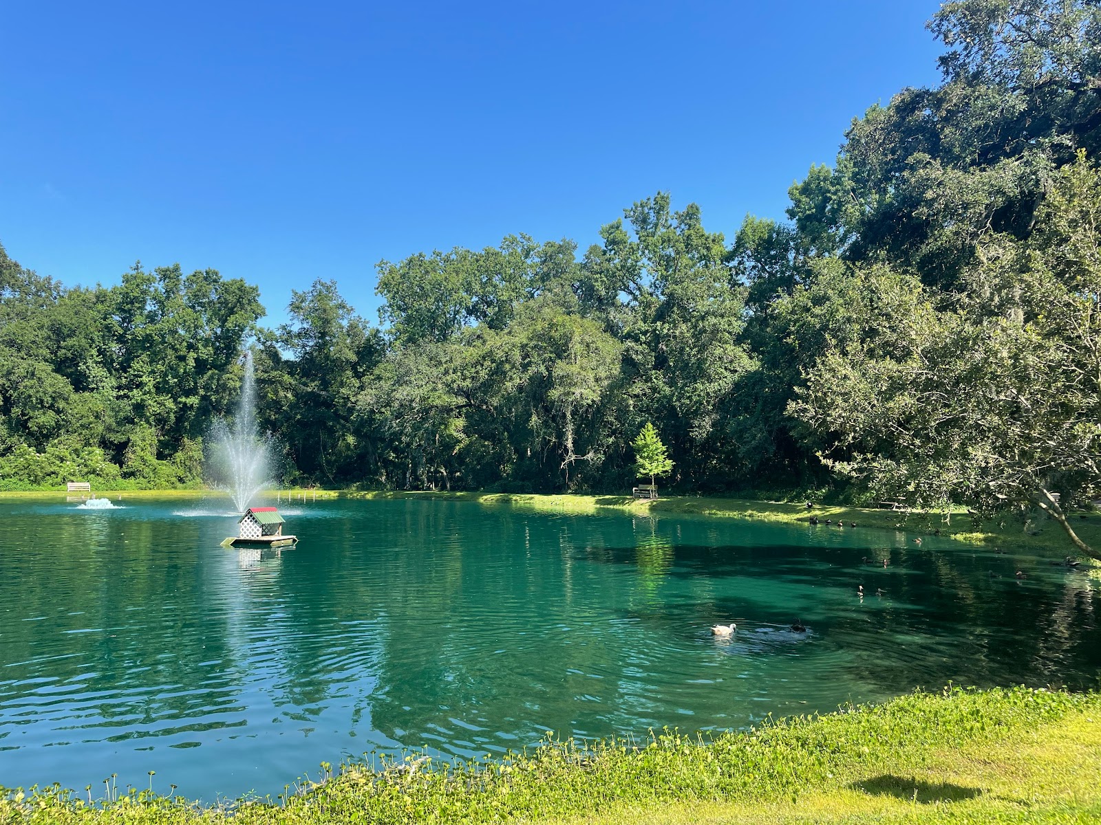 Sawmill Camping Resort