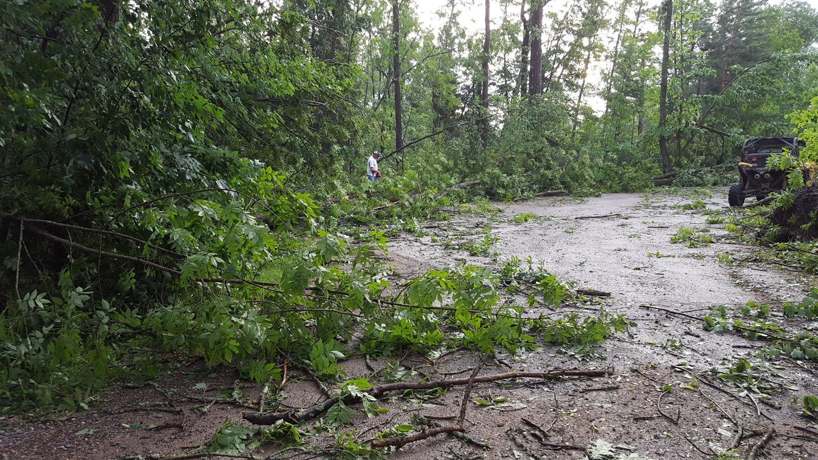 Quadna Mountain Resort