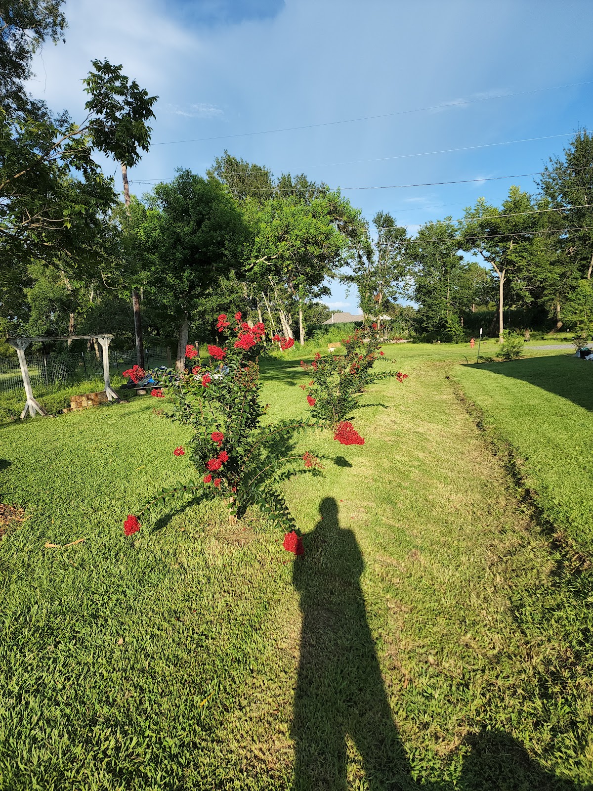 Belle Terre RV Hideaway