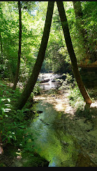 Timber Ridge Horse Campground