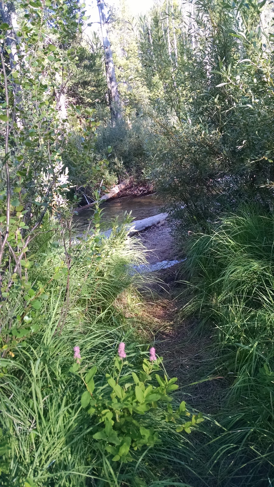 Iron Creek Campground
