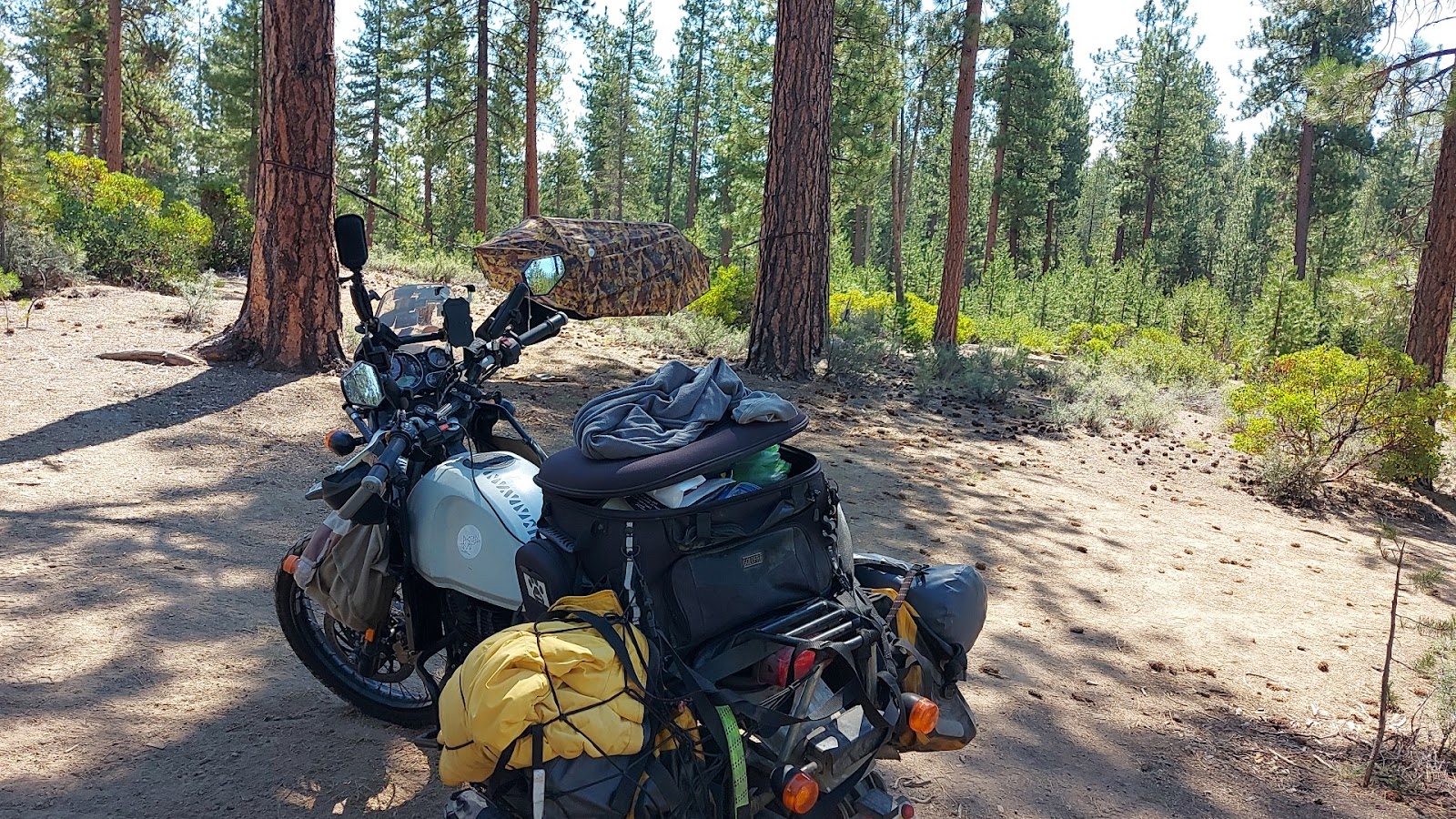 Walt Haring Sno-Park