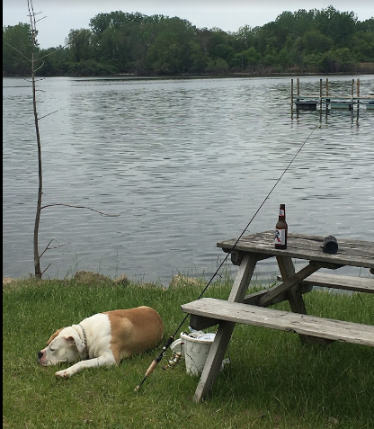 River Raisin Campground