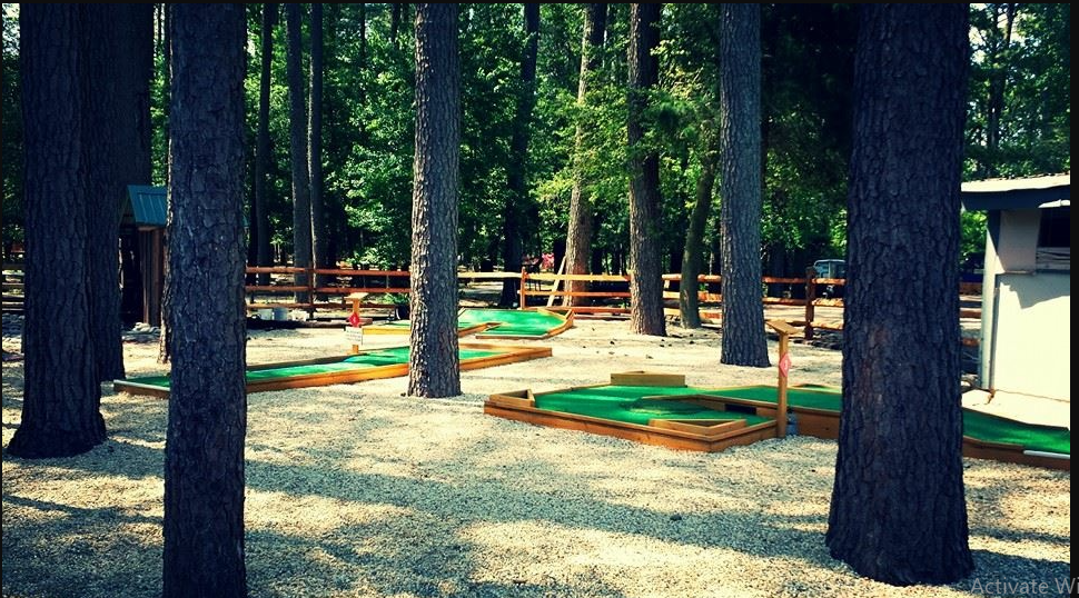 Holly Lake Camp Sites