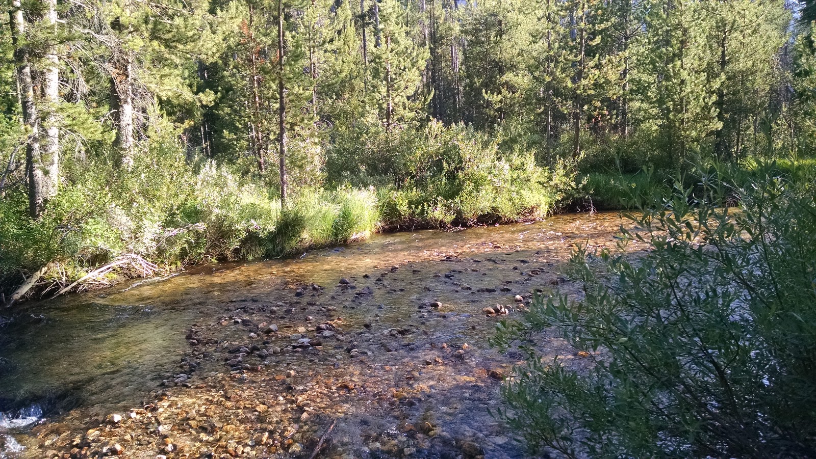 Iron Creek Campground