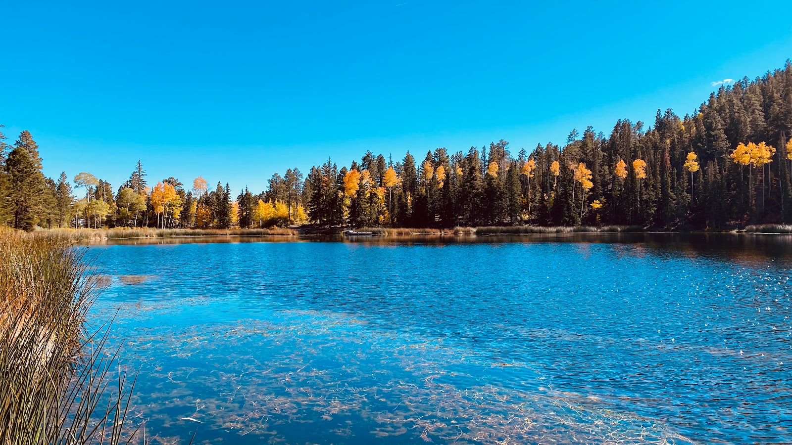 Posey Lake Campground
