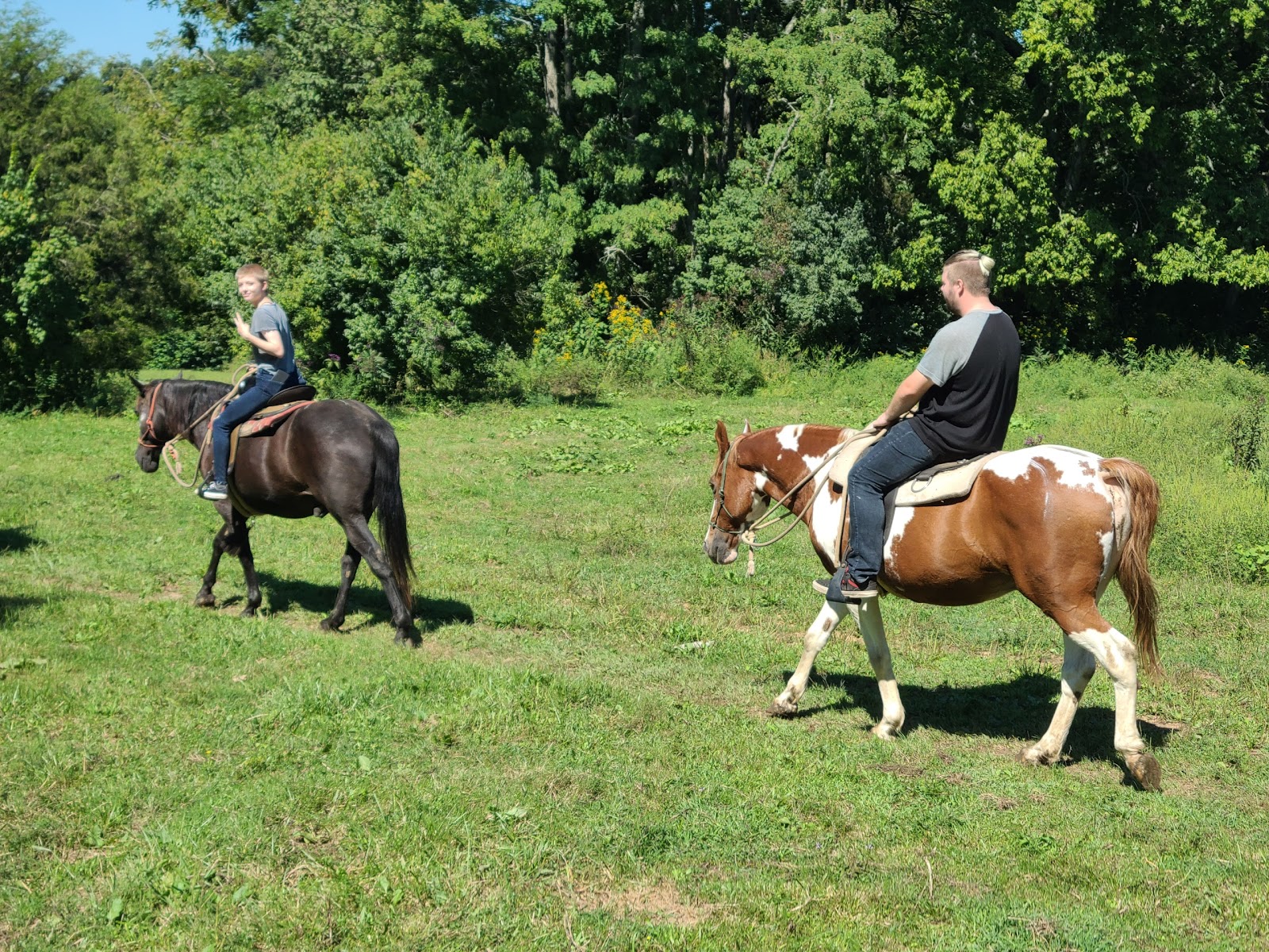 Deer Run Stables LLC