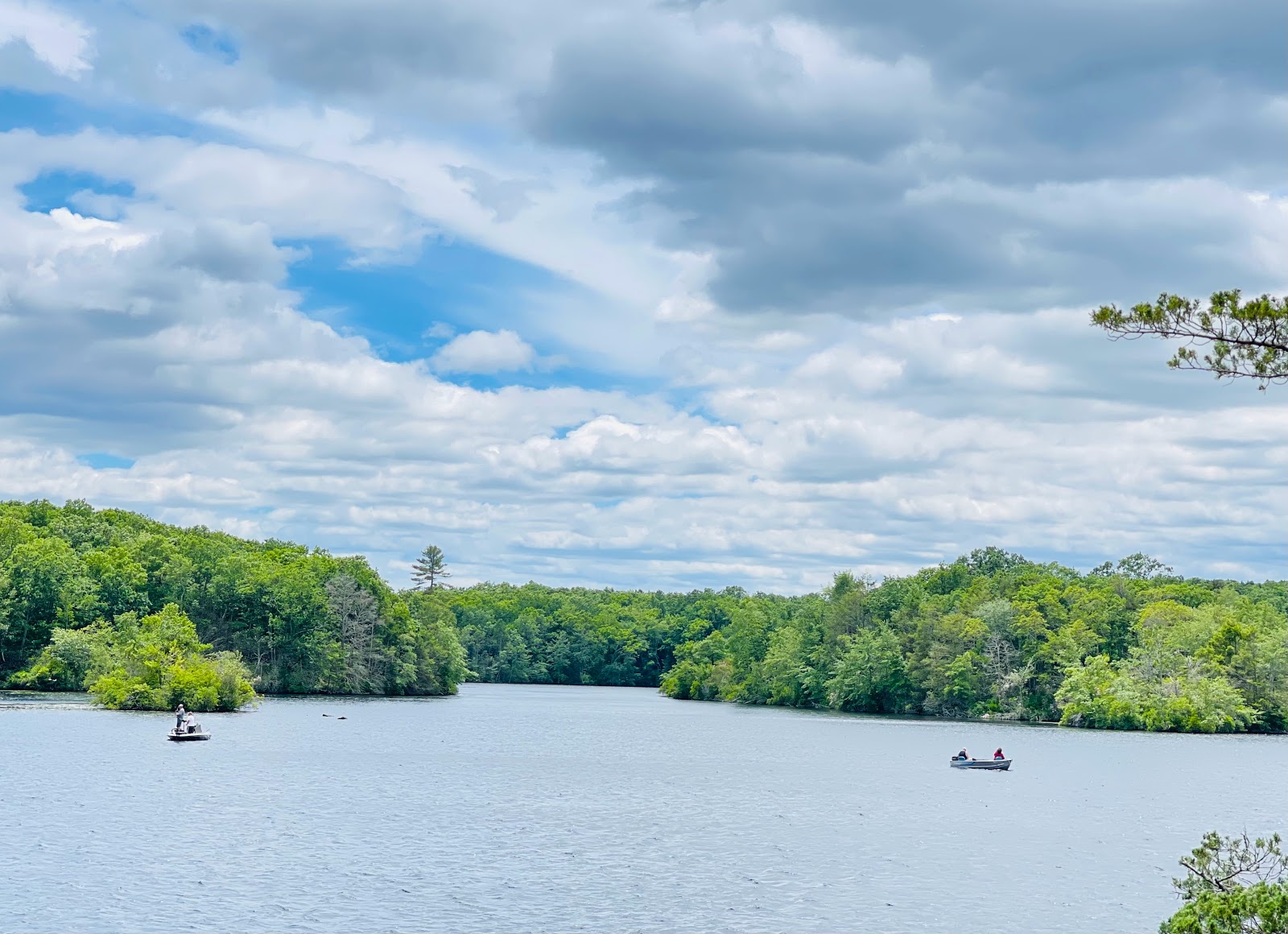 Pachaug State Forest