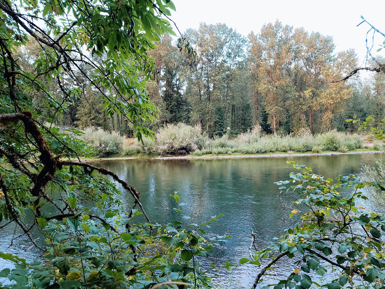 Waterloo County Park
