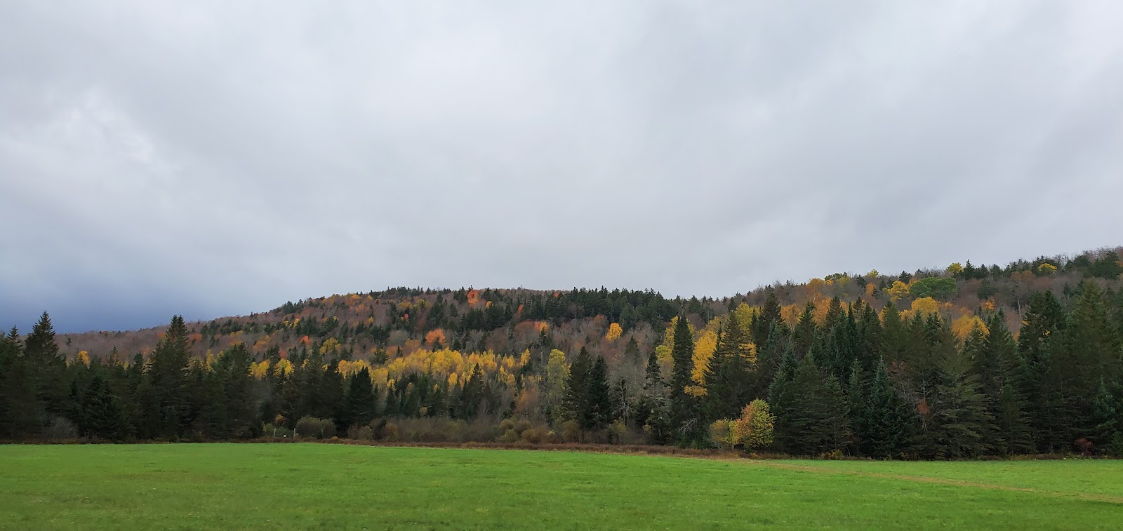 Log Haven Campgrounds
