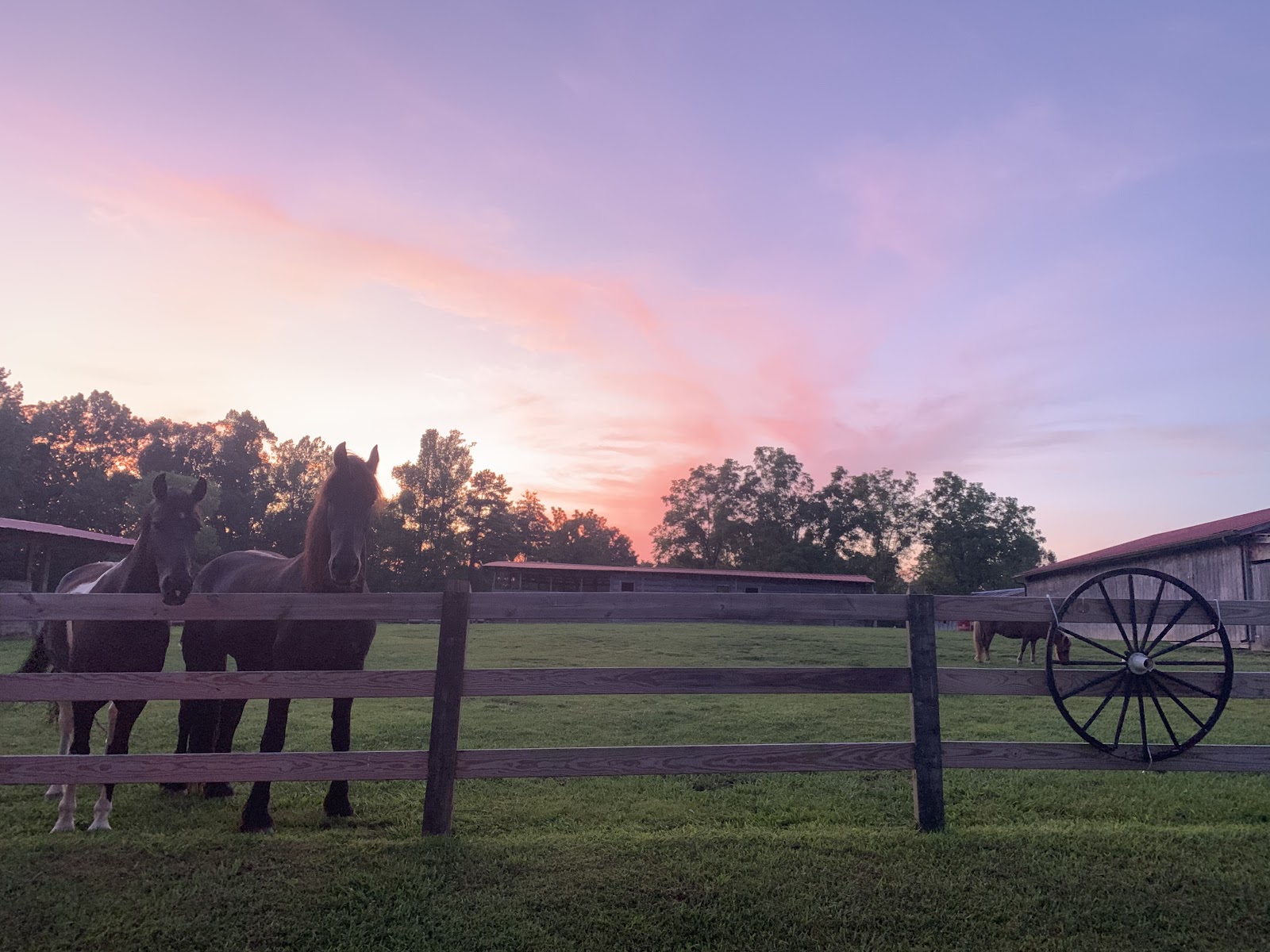 Big South Fork Lodge & Horse Campground