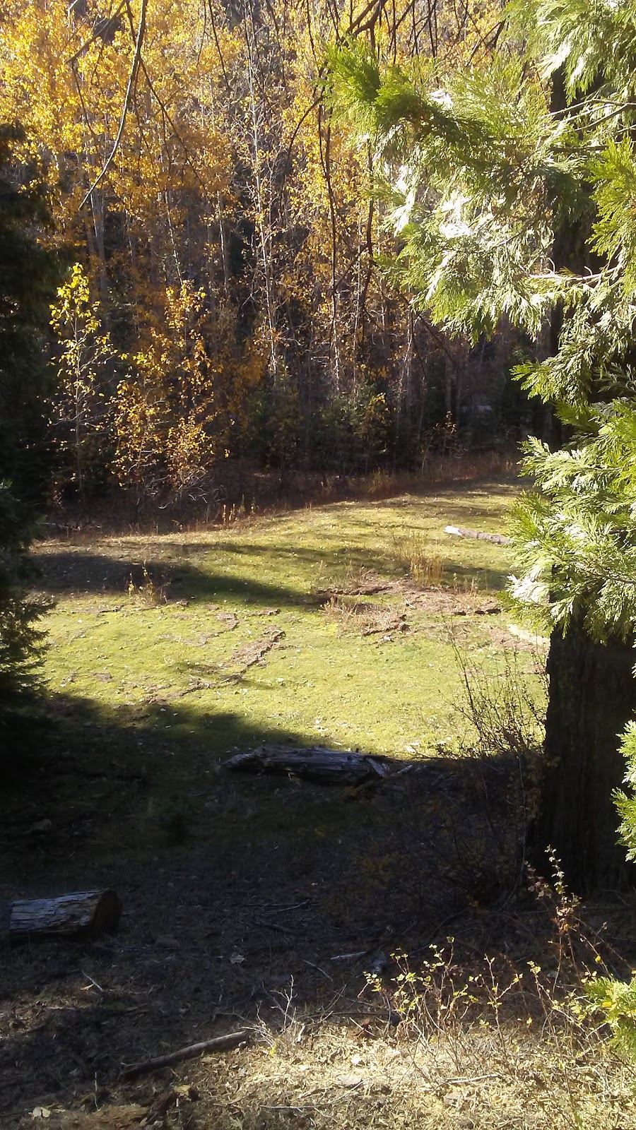 Greys Mountain Campground