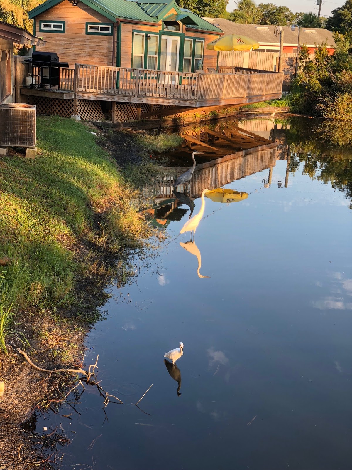 Cooksey's Camping Resort