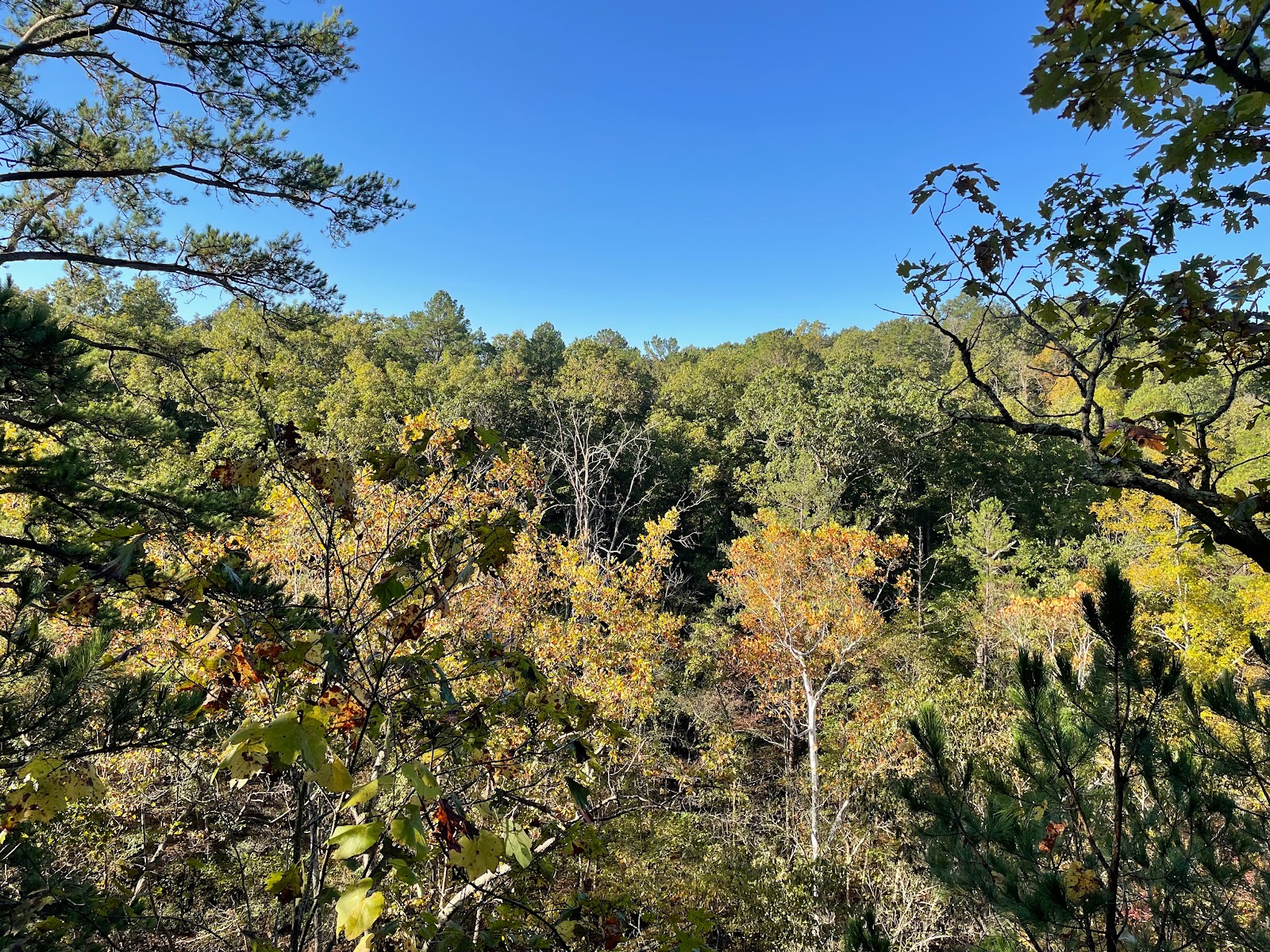 Paddy Creek Campground