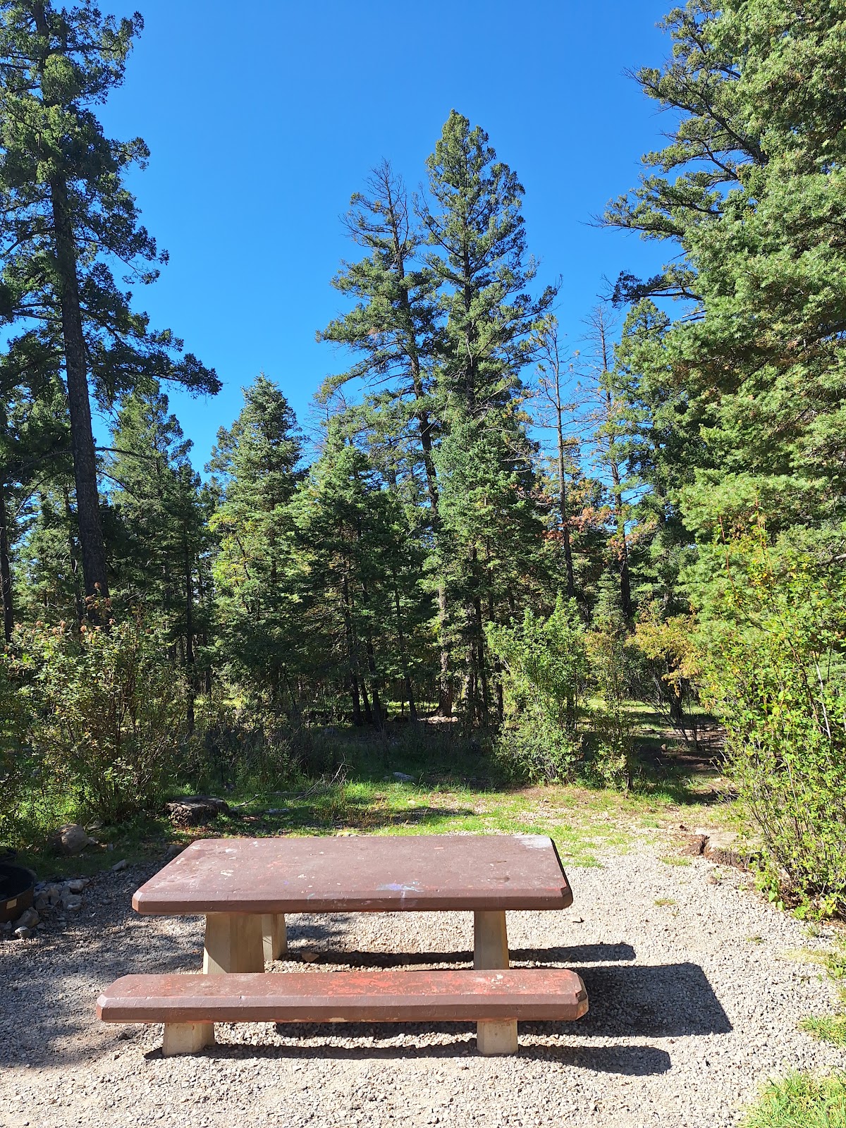 Silver and Silver Overflow Campgrounds