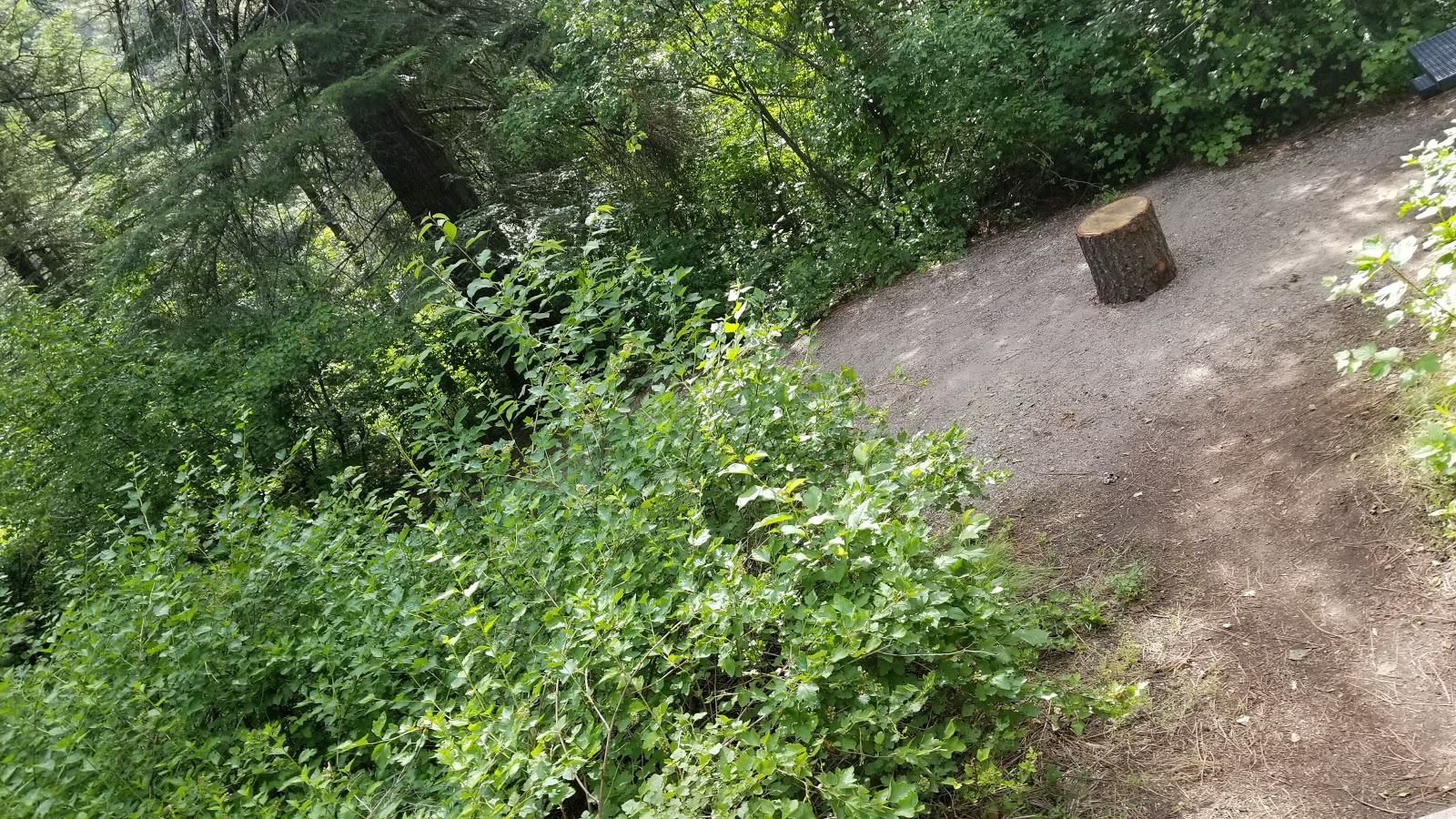 Swinging Bridge Campground