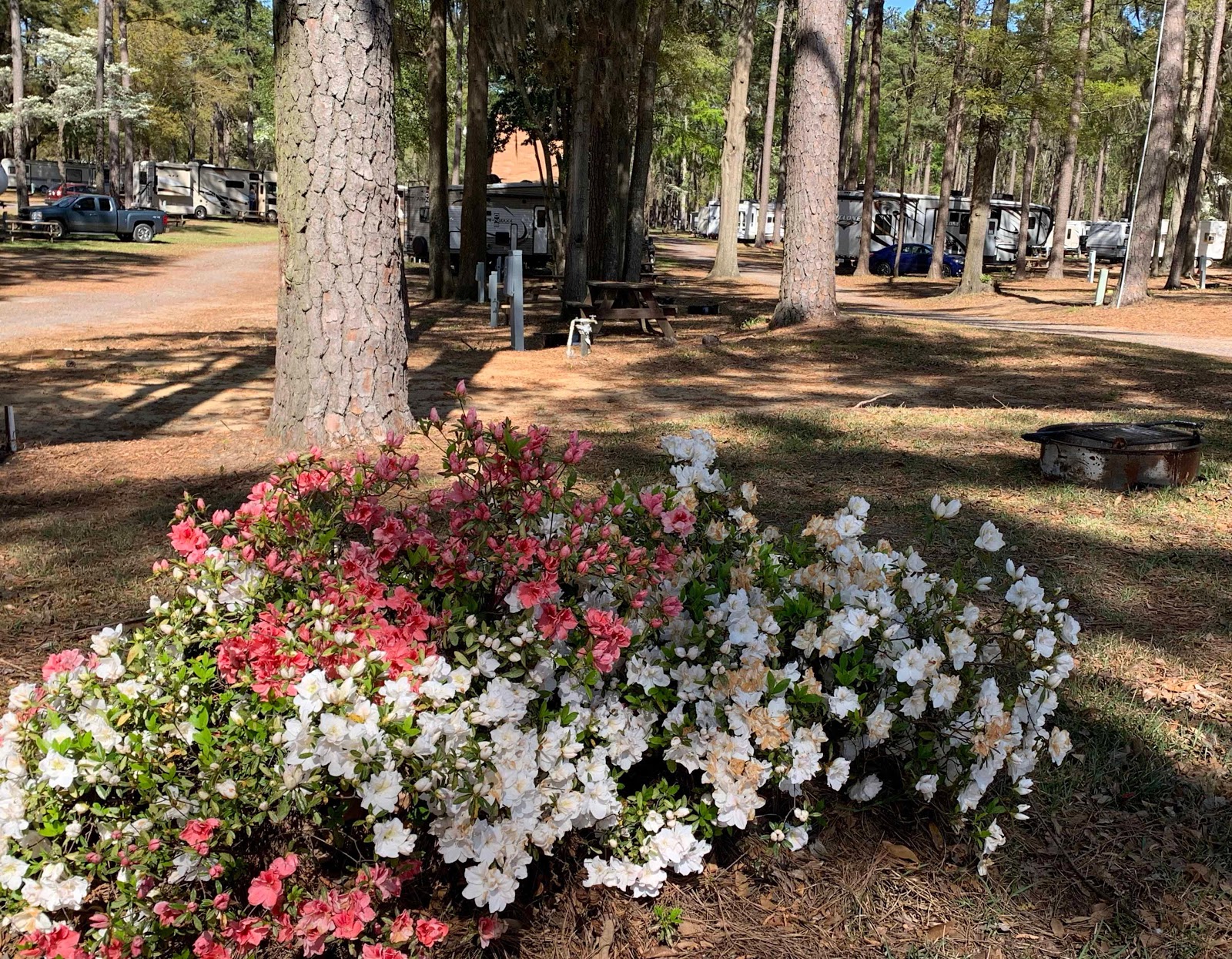 Santee Lakes Campground
