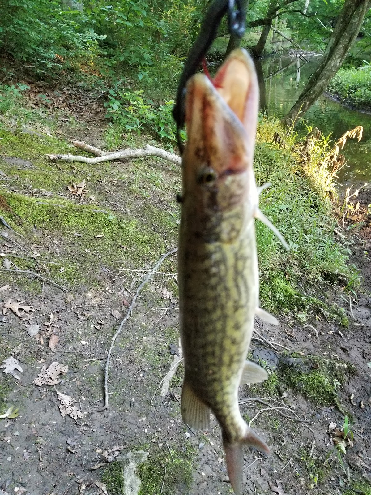 Holiday Park Campground