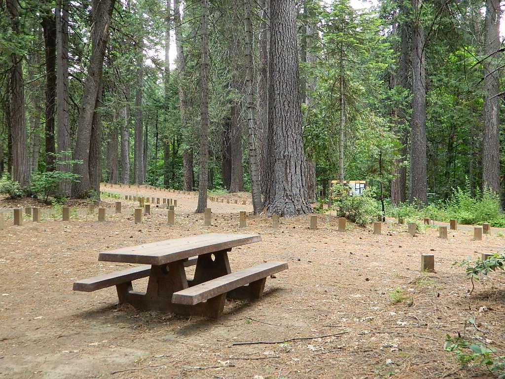 Rogers Cow Campground