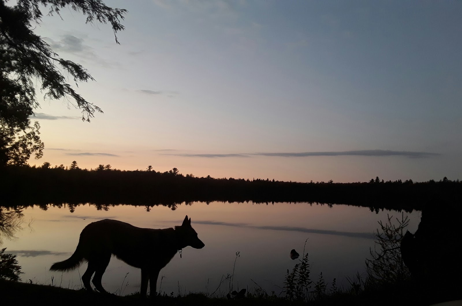 Canoe Lake Campground